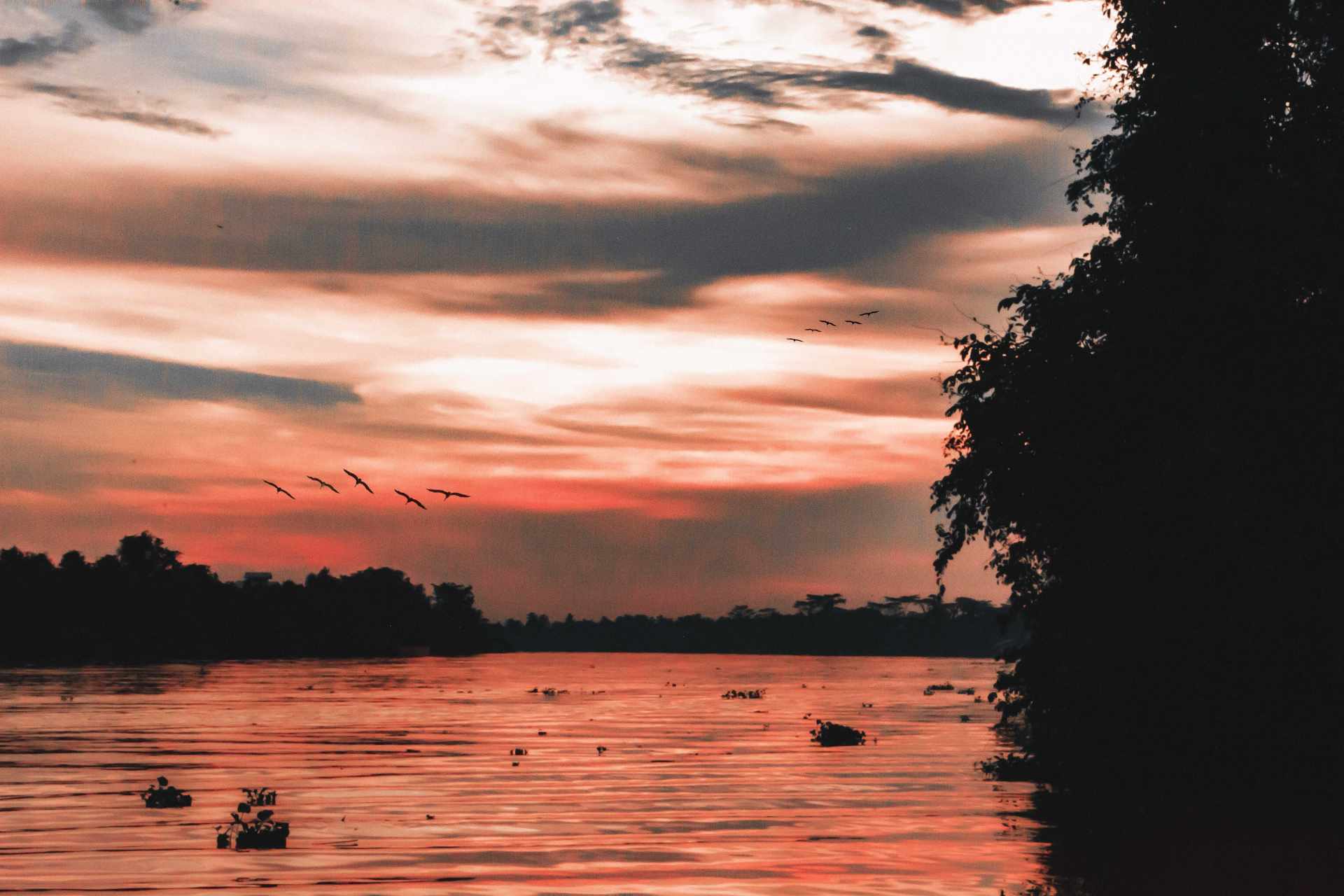 Dal Kalimantan a Bali, passando per Giava