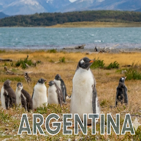 MAPPAMONDO: CAPODANNO IN ARGENTINA