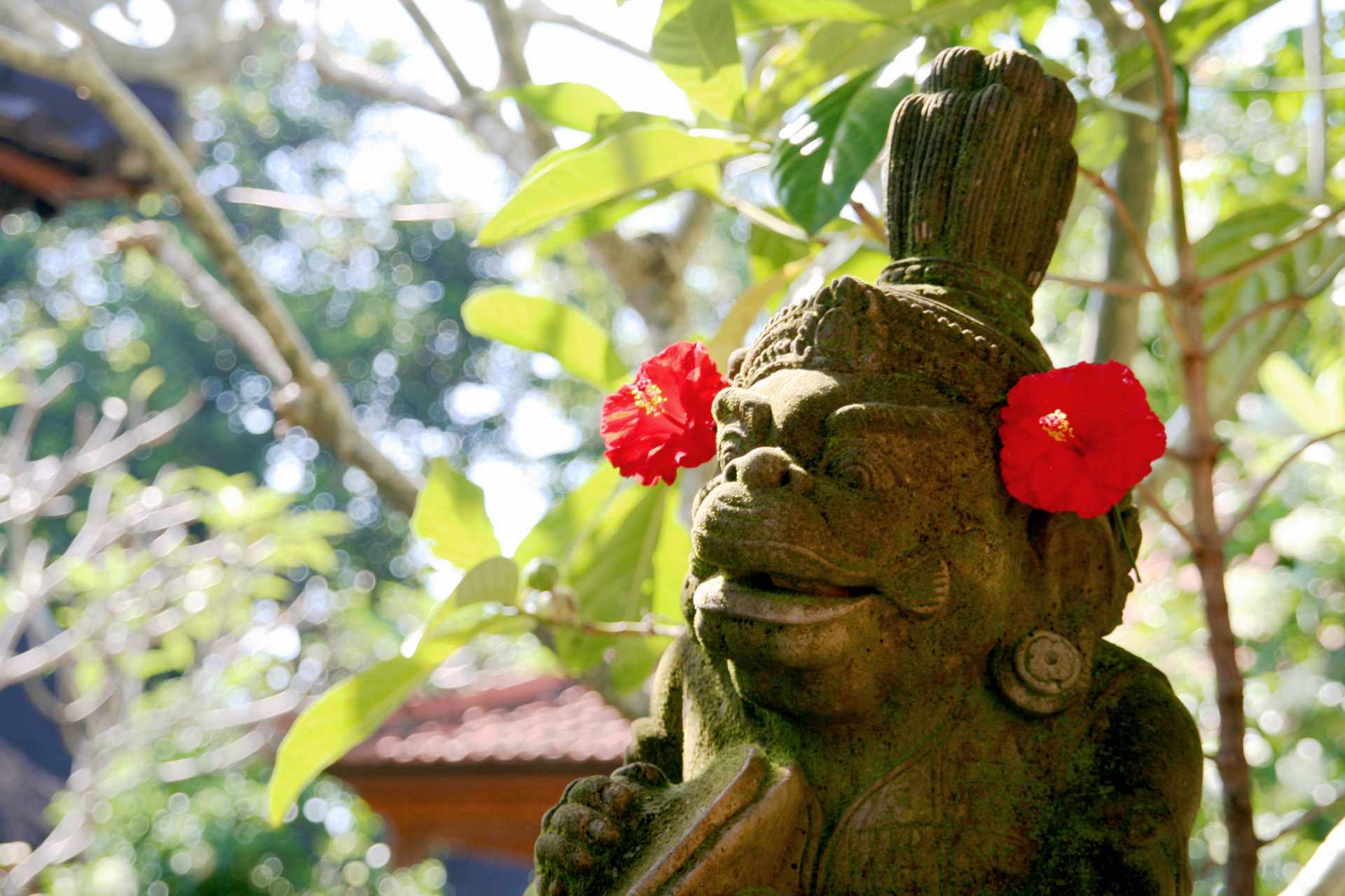 Dal Kalimantan a Bali, passando per Giava