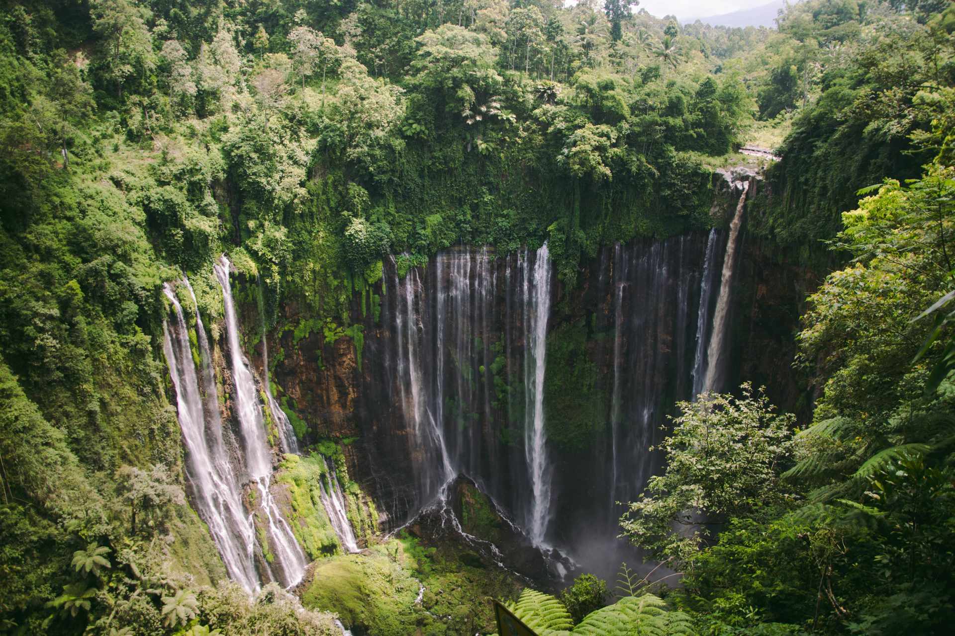 Dal Kalimantan a Bali, passando per Giava