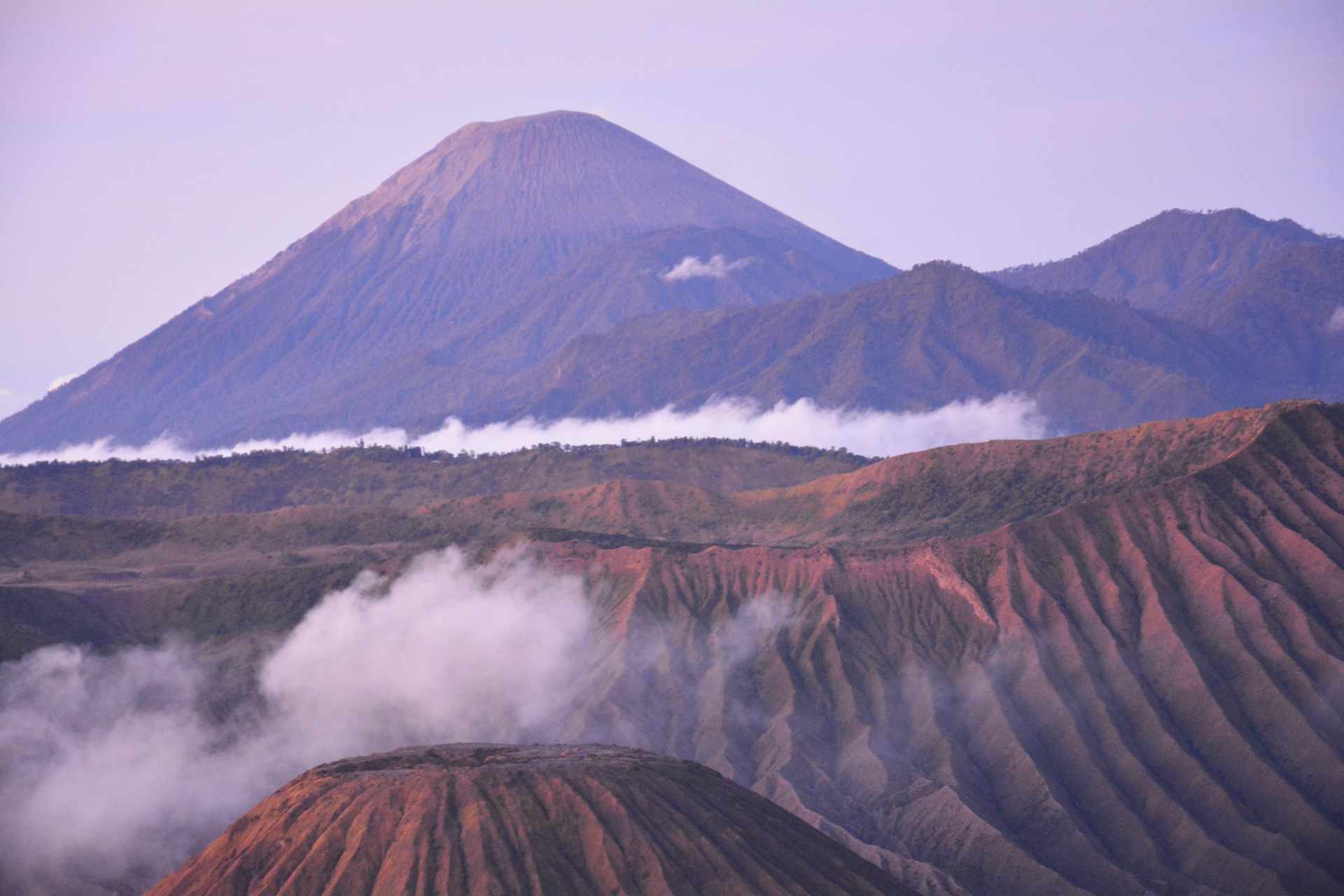 Dal Kalimantan a Bali, passando per Giava