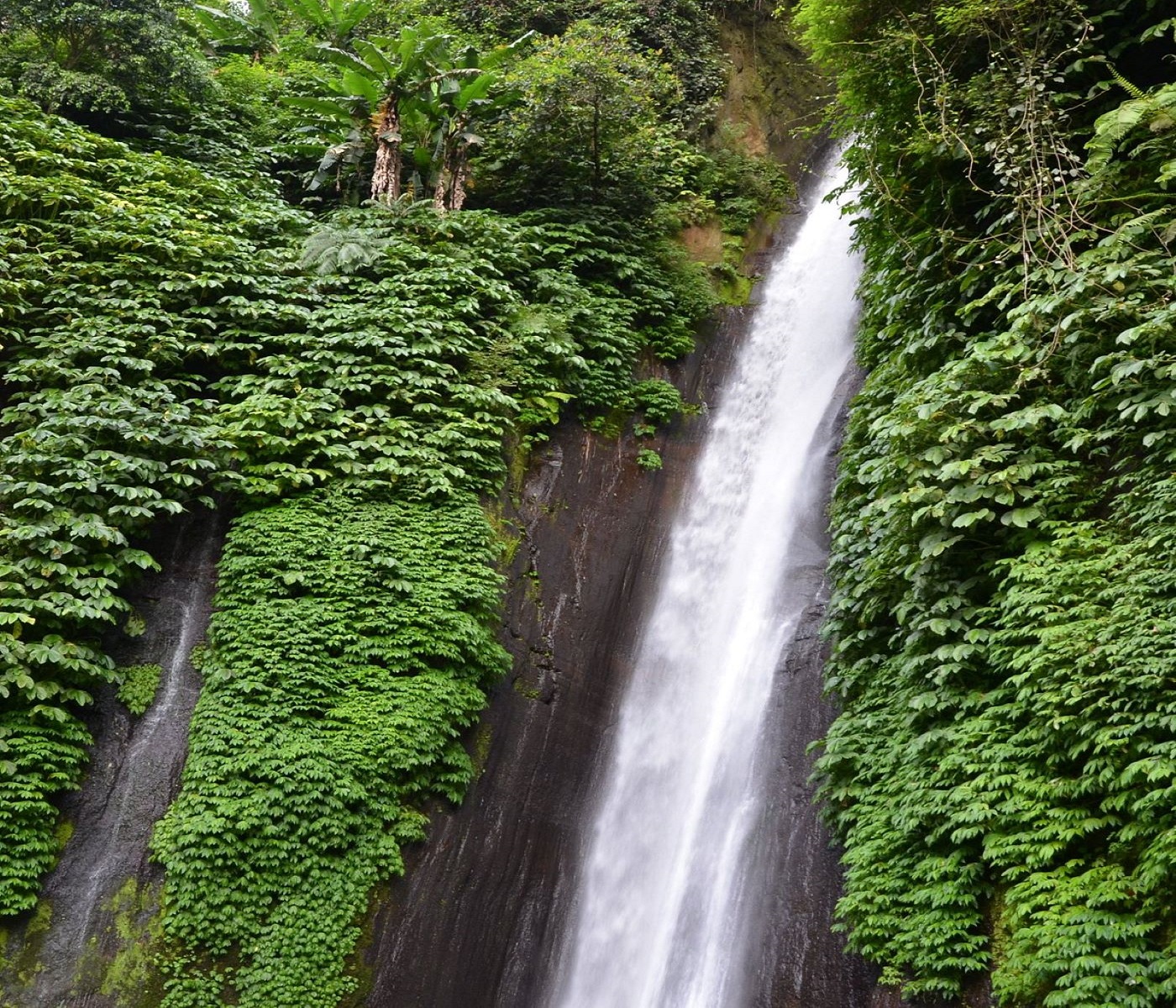 Green Landscape...una Bali più autentica